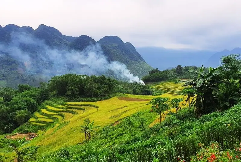 Rice terraces around Don village